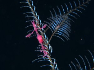 20150100                  