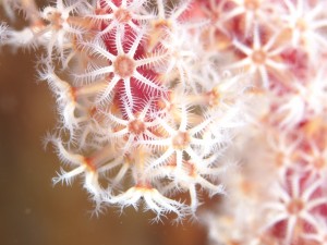 20150145                  