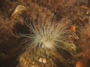 P6683442       