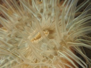 P6683454       